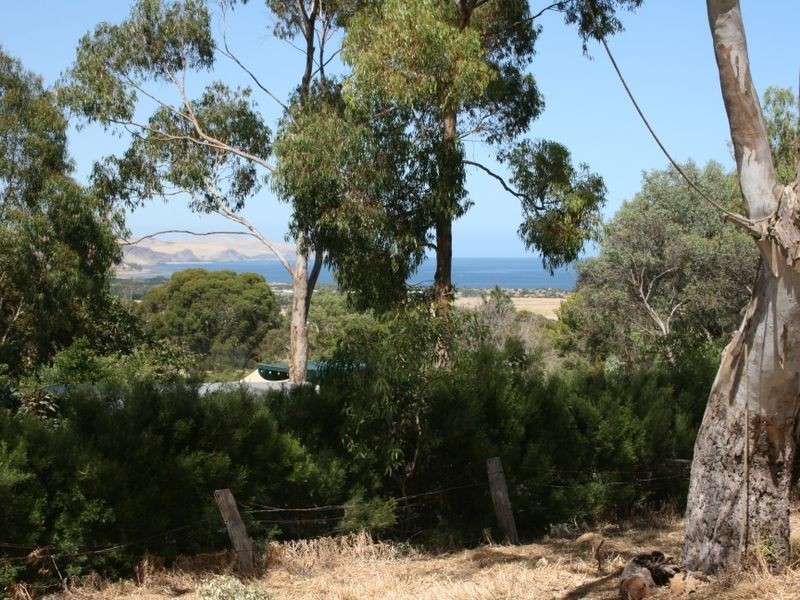 101/ Seaview Crescent, Normanville SA 5204