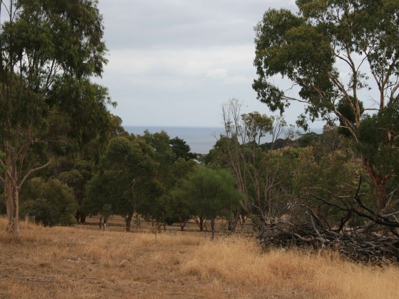 24/ Jervois Road, Normanville SA 5204