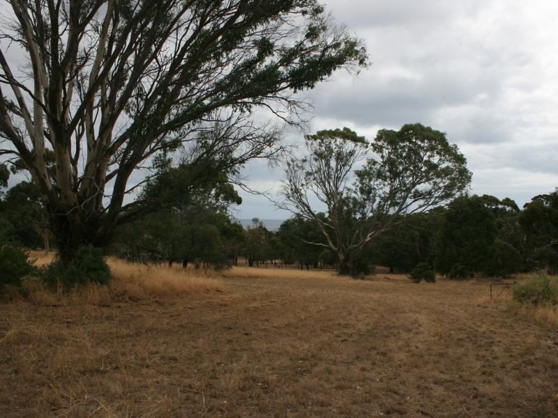 24/ Jervois Road, Normanville SA 5204