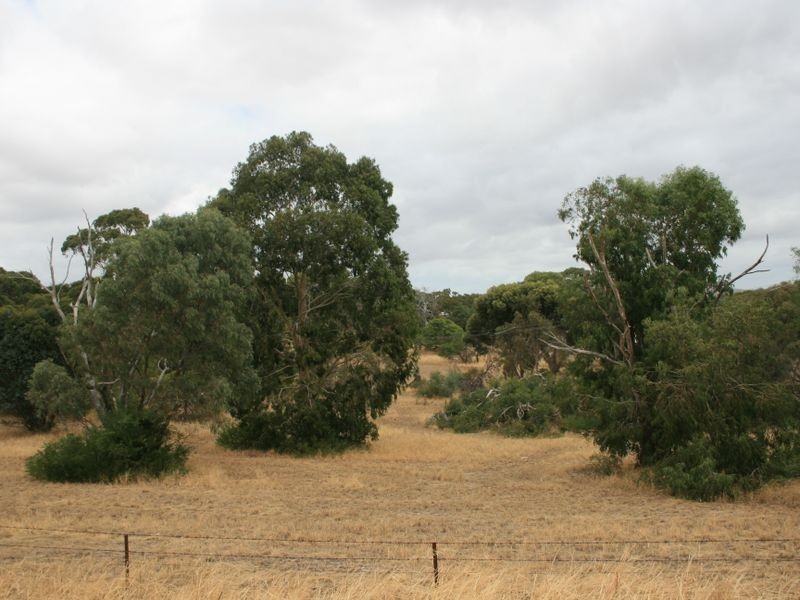 24/ Jervois Road, Normanville SA 5204