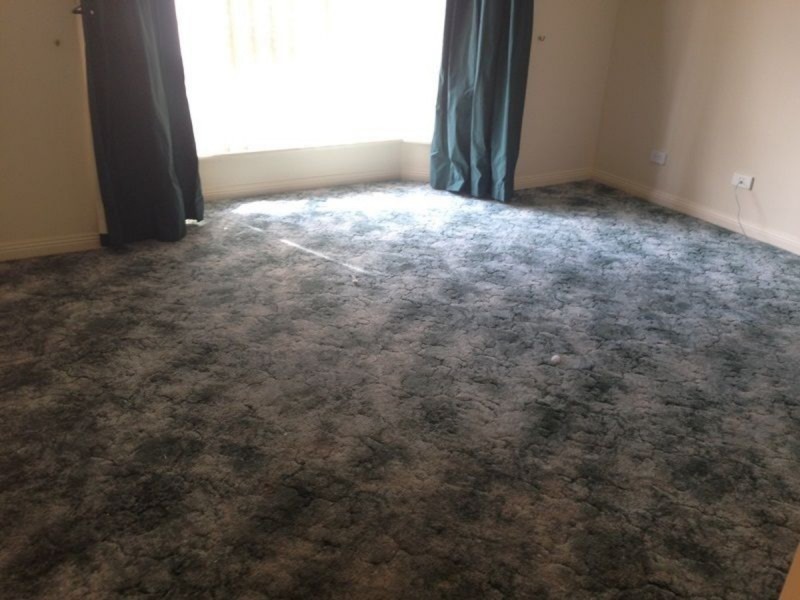 116 Parkway Circuit, Parafield Gardens SA 5107