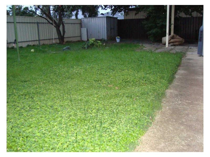1612 Main North Road, Brahma Lodge SA 5109