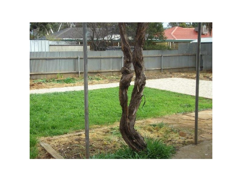 51 Caruso Crescent, Brahma Lodge SA 5109