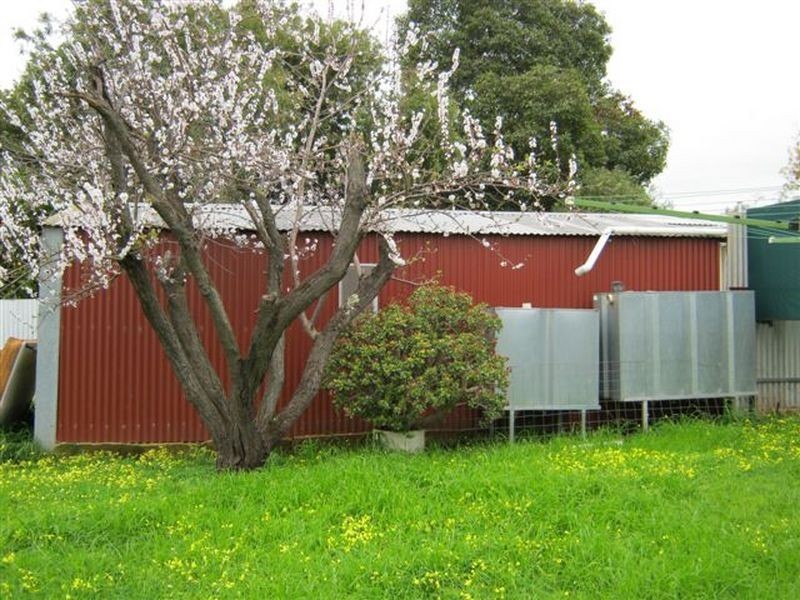 11 Patterson Road, Elizabeth Park SA 5113