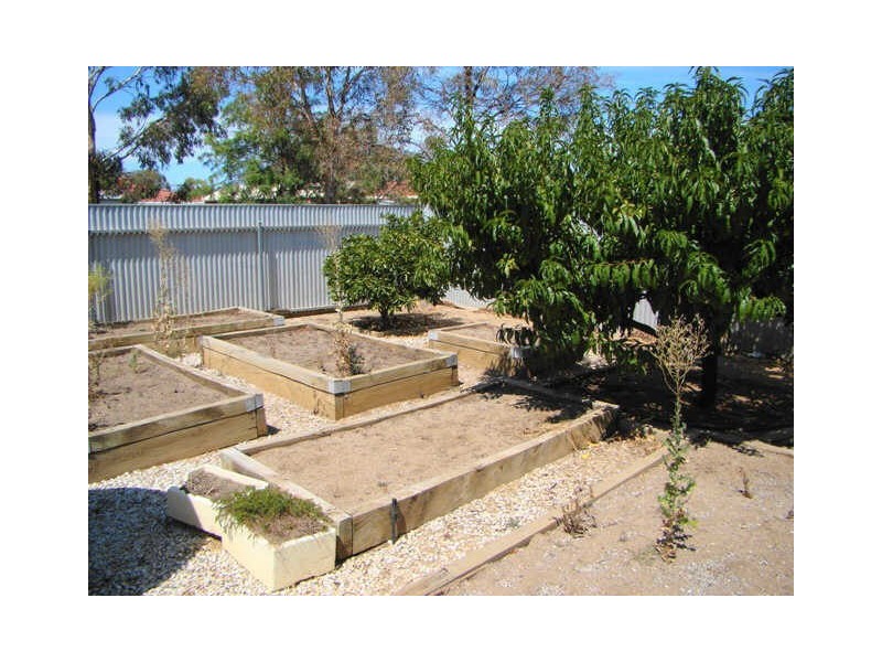 25 Wachtel Crescent, Burton SA 5110