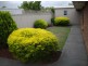 106 Liberator Drive, Paralowie SA 5108