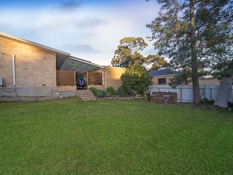 99 Elizabeth Street, Banksia Park SA 5091