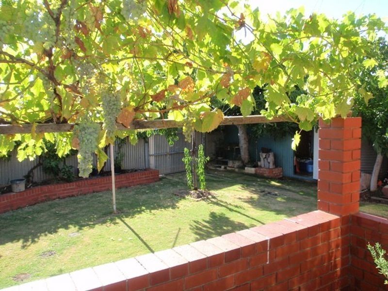 19 Conygham Avenue, Para Hills SA 5096