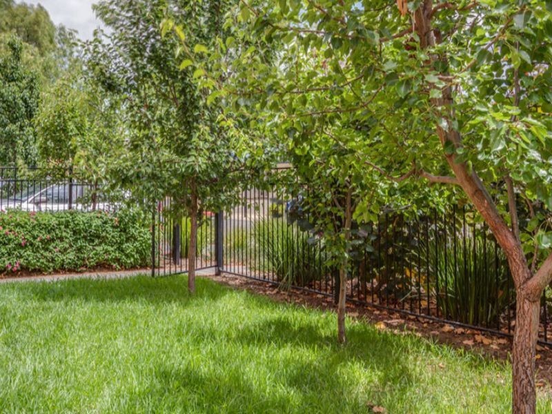 48 Grasswren Way, Mawson Lakes SA 5095
