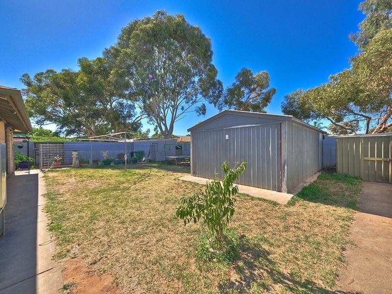 11 Lobelia Drive, Parafield Gardens SA 5107