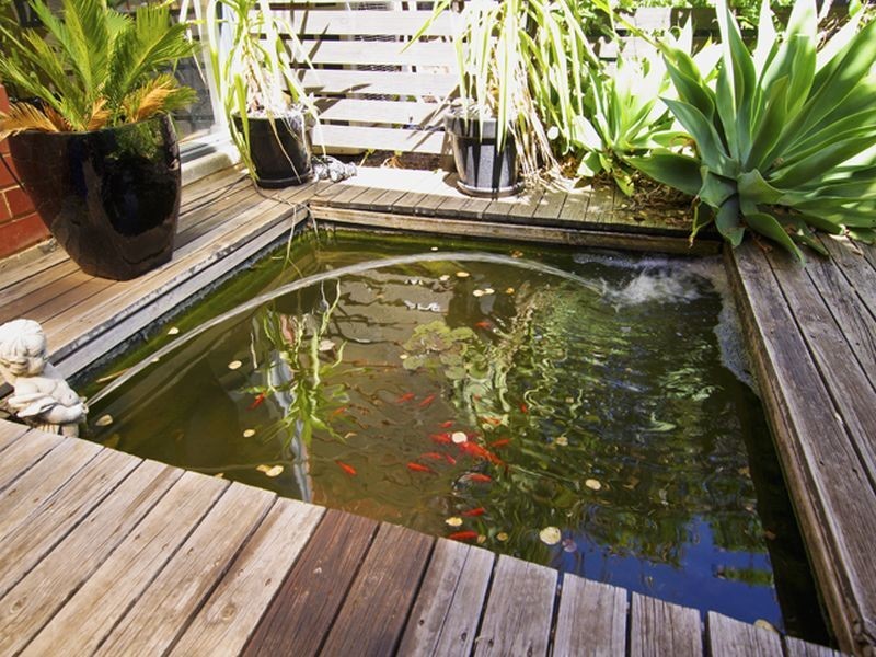 10 Wharfdale Lane, Mawson Lakes SA 5095