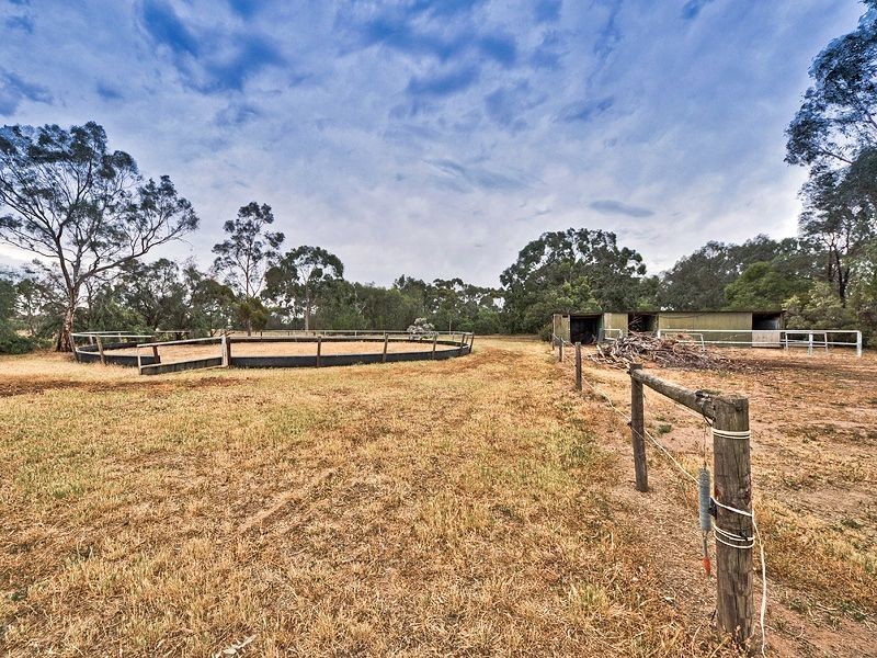 Lot 19 Penfield Road, Virginia SA 5120