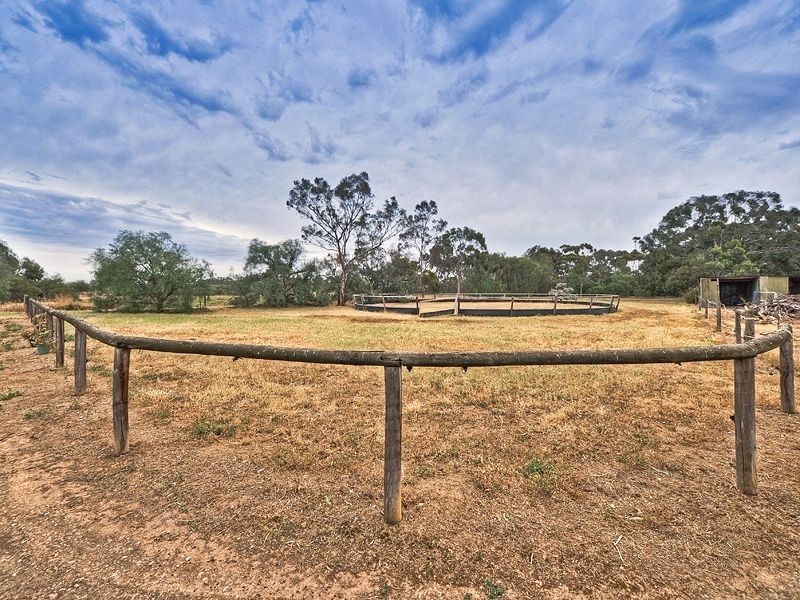 Lot 19 Penfield Road, Virginia SA 5120