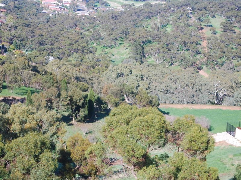 29 Reordan Drive, Greenwith SA 5125