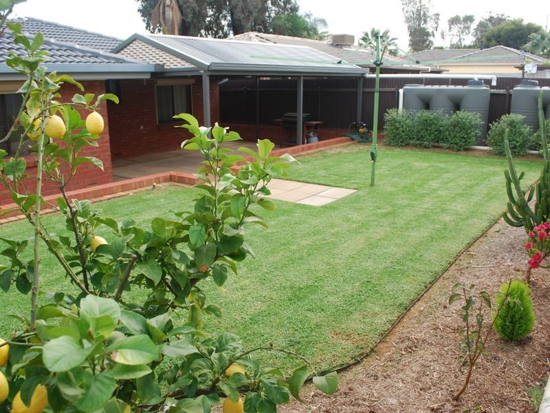 56 Daphne Road, Salisbury East SA 5109