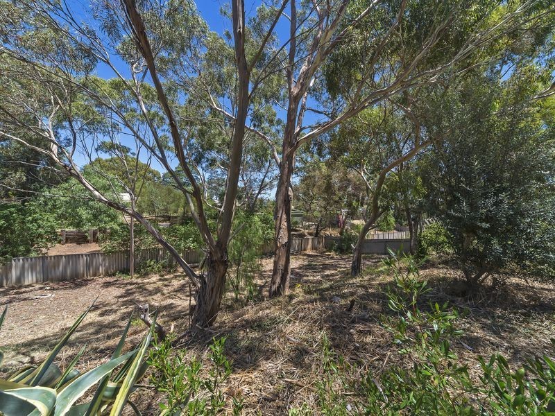 19 Thomson Avenue, Gulfview Heights SA 5096