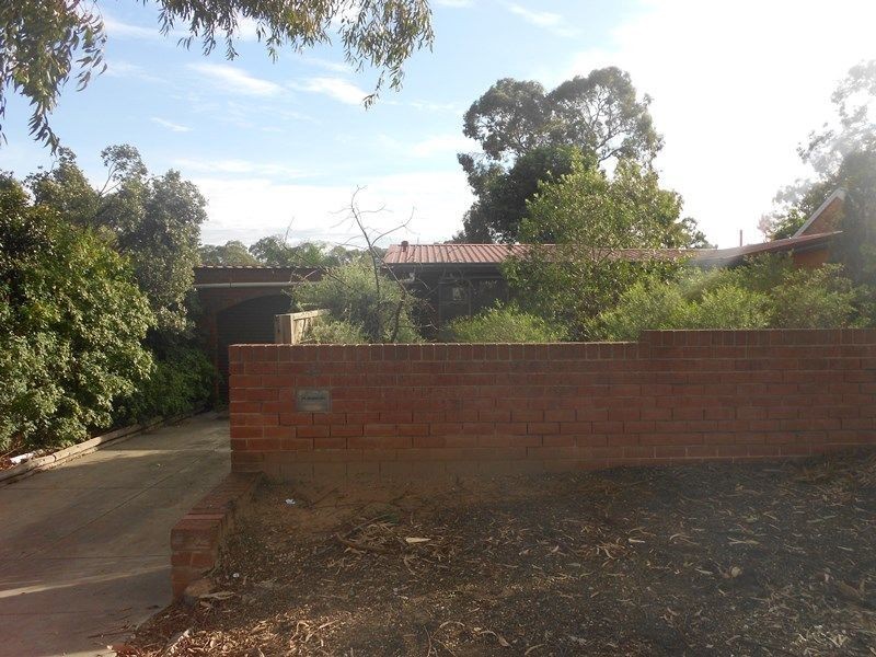 95 Elizabeth Street, Banksia Park SA 5091