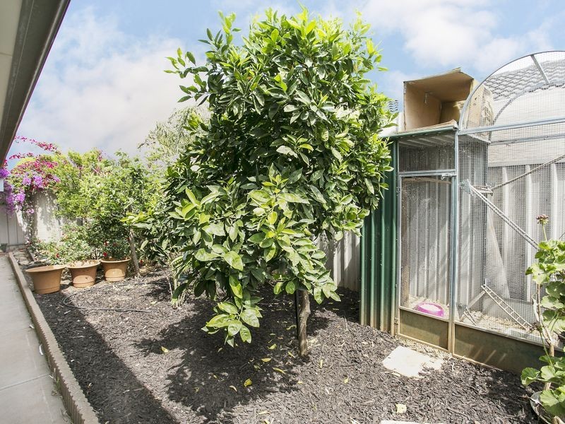 7 Cabernet Court, Burton SA 5110