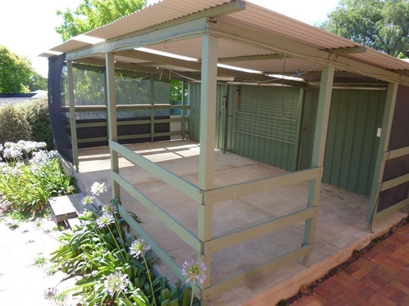 8 Grevillea Drive, Banksia Park SA 5091