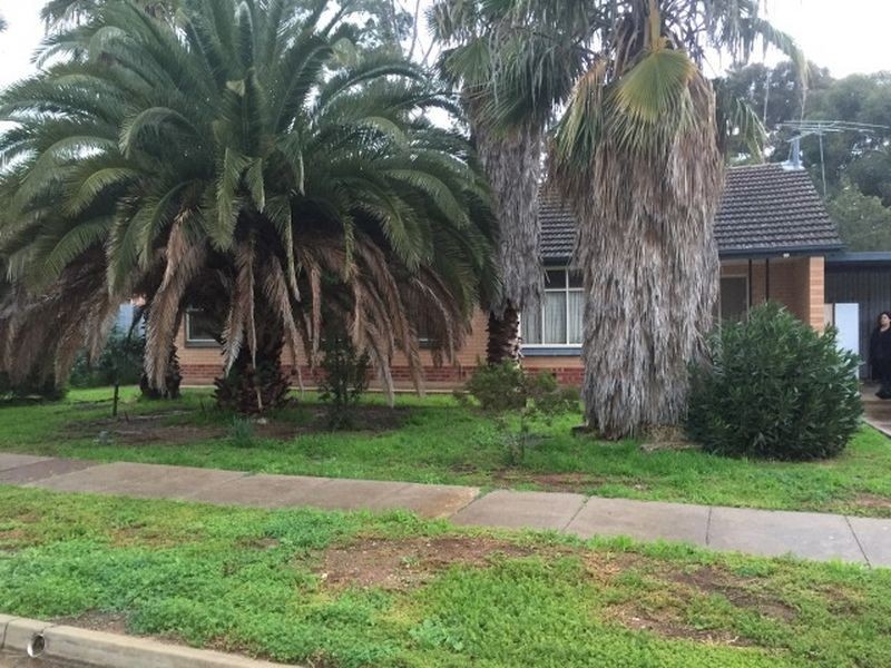 9 Suffolk Avenue, Brahma Lodge SA 5109