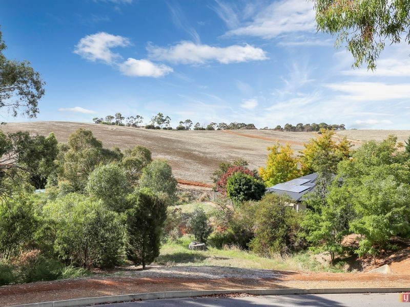 8 Hedgerow Court, Greenwith SA 5125