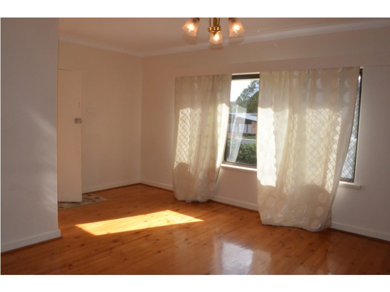 3 Crozier Avenue, Modbury SA 5092