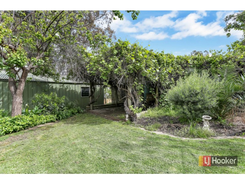 6 Cottenham Road, Banksia Park SA 5091