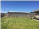 17 Claret Avenue, Virginia SA 5120