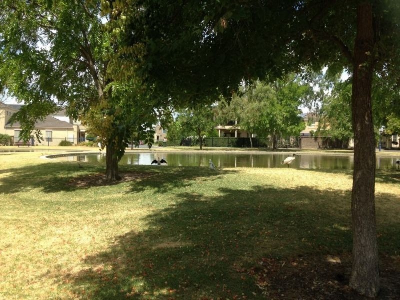 6 Frome Crescent, Mawson Lakes SA 5095