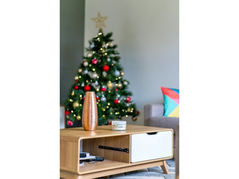 188 President Avenue, Andrews Farm SA 5114