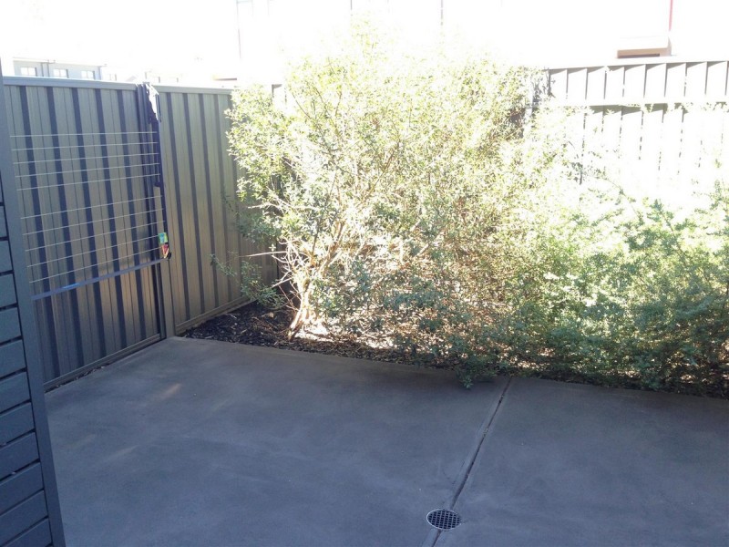 3/8 Fourth Avenue, Mawson Lakes SA 5095