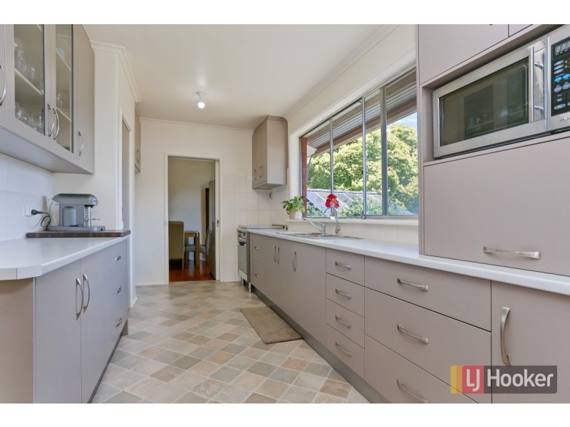 8 Grevillea Drive, Banksia Park SA 5091