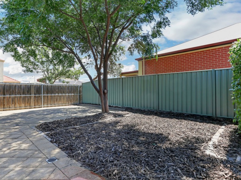 2 Elder Circuit, Mawson Lakes SA 5095