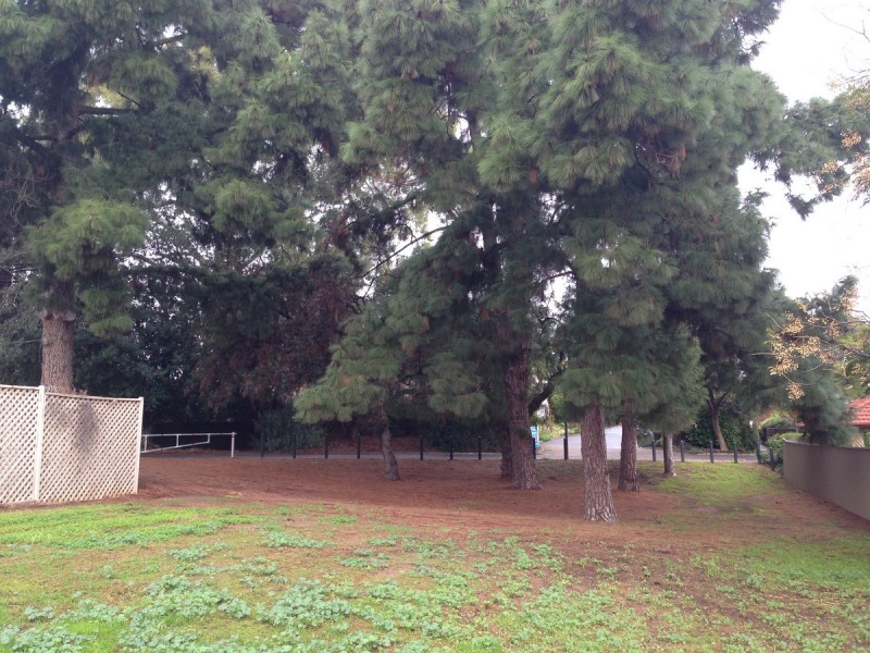 29 Walker Court, Enfield SA 5085