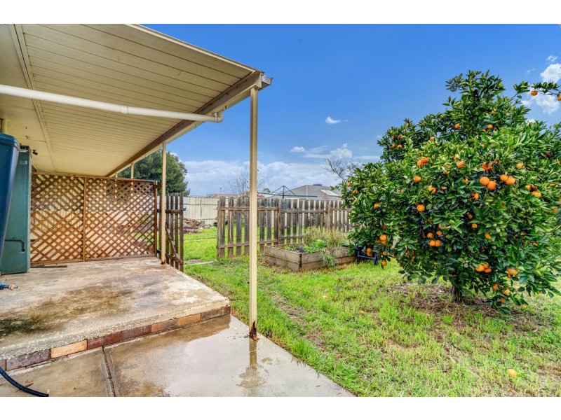 11 Ascot Drive, Paralowie SA 5108