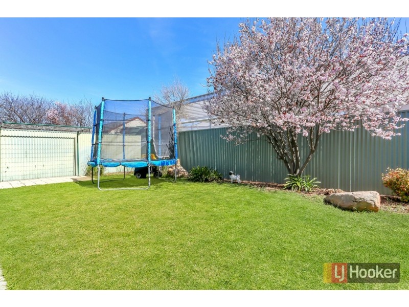 12 Blue Wren Circuit, Mawson Lakes SA 5095