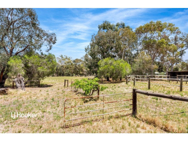 312 Williamstown Road, Cockatoo Valley SA 5351
