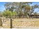 312 Williamstown Road, Cockatoo Valley SA 5351