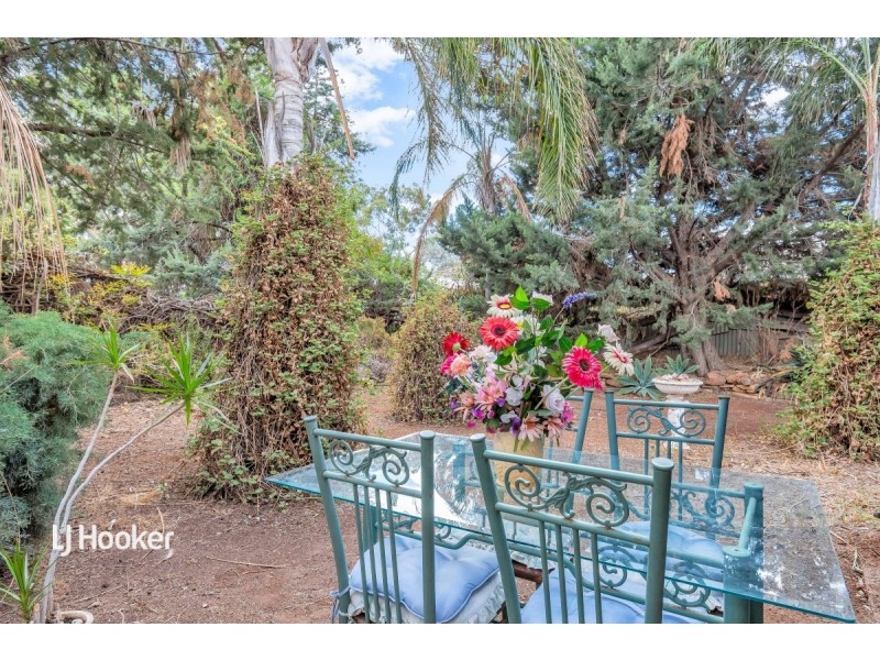 9 Collins Street, Elizabeth Downs SA 5113