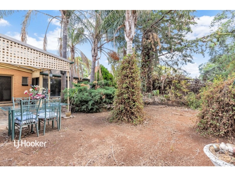 9 Collins Street, Elizabeth Downs SA 5113