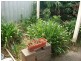 2 Gibson Place, Paralowie SA 5108