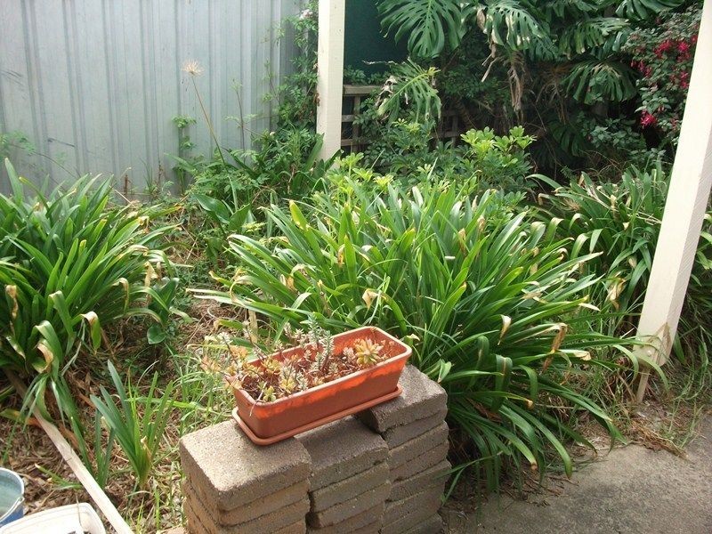 2 Gibson Place, Paralowie SA 5108