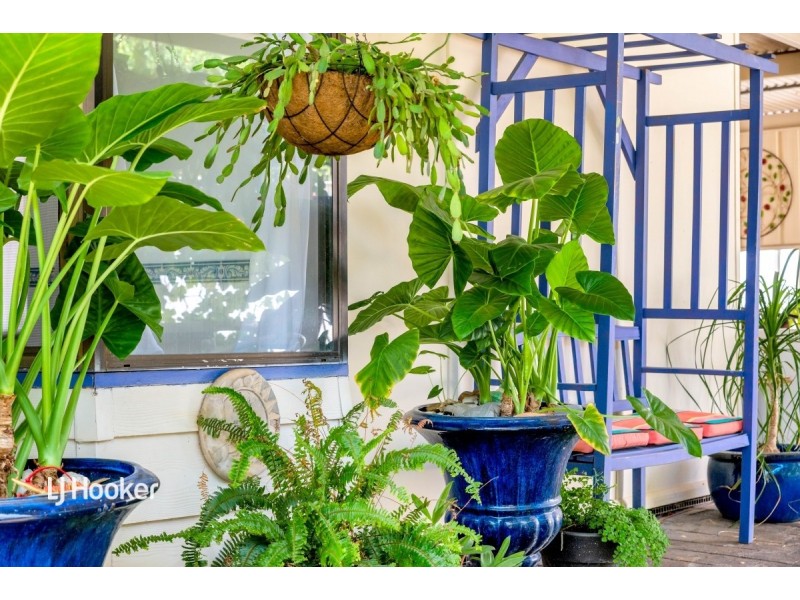 1 Augusta Square, Smithfield SA 5114