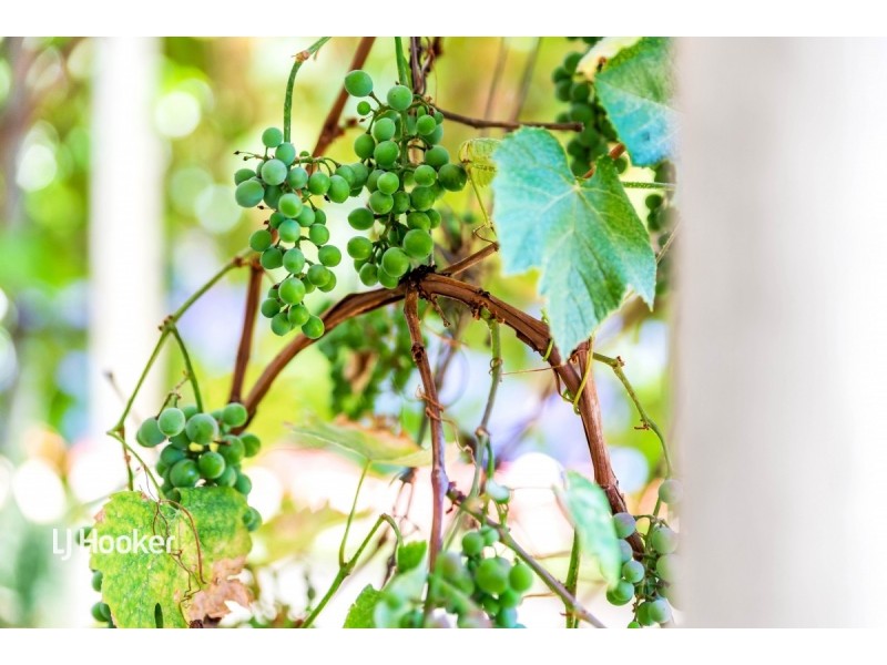 1 Augusta Square, Smithfield SA 5114