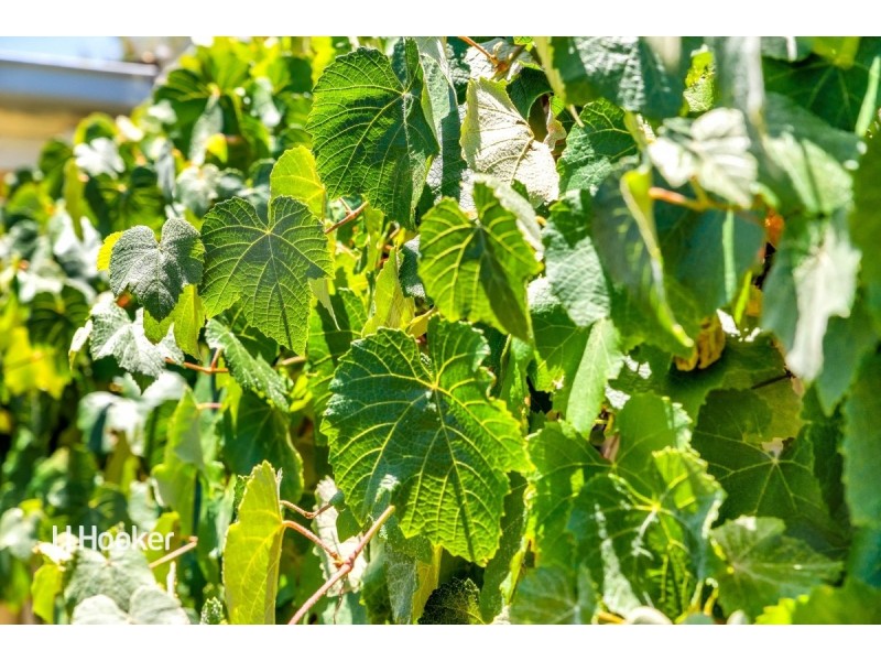 1 Augusta Square, Smithfield SA 5114