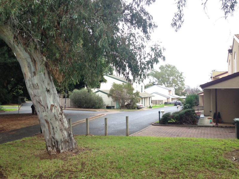 29 Walker Court, Enfield SA 5085