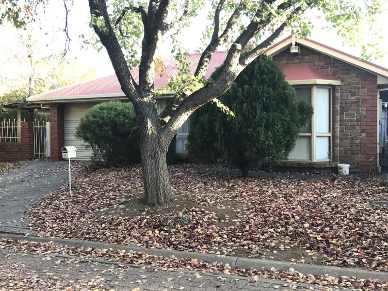 28 Martin Street, Wynn Vale SA 5127