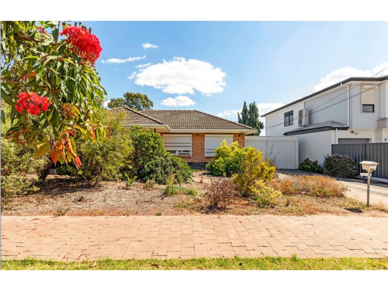 5 Pope Street, Newton SA 5074