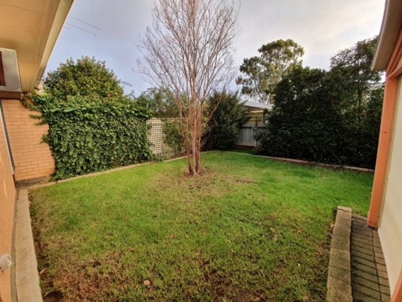 5 Pope Street, Newton SA 5074