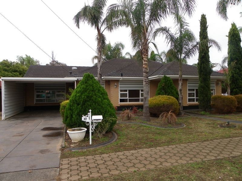 43 Jacaranda Drive, Salisbury East SA 5109